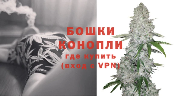 мдпв Горно-Алтайск