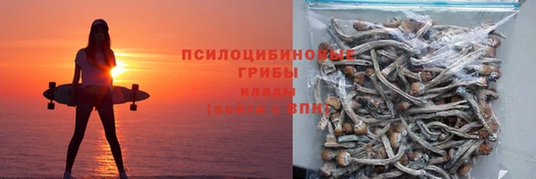 дживик Горнозаводск