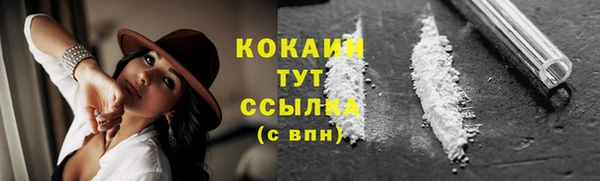 дживик Горнозаводск