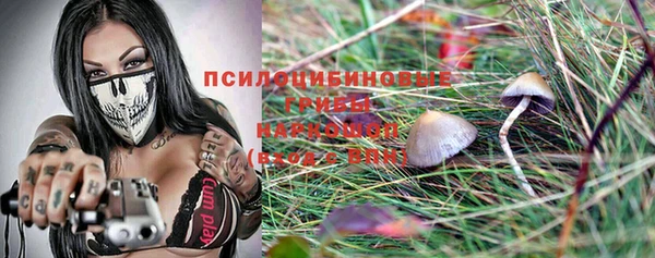дживик Горнозаводск