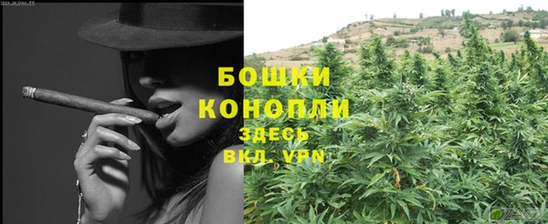 дживик Горнозаводск