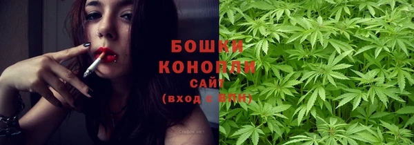 бошки Бикин