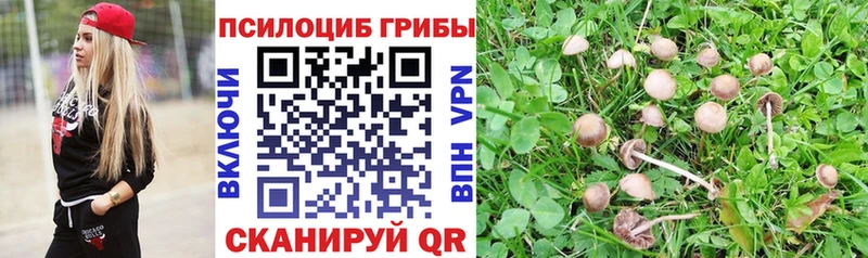 даркнет сайт Красный Кут Псилоцибиновые грибы прущие грибы